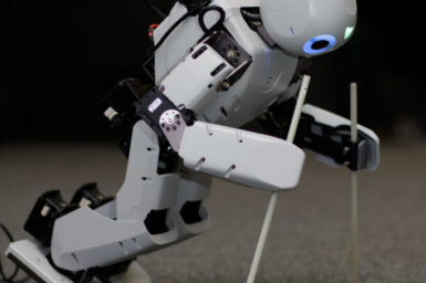 bipedal robots