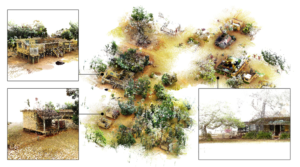 Map of trees using 3Dplus