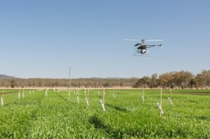 Drone scanning crops