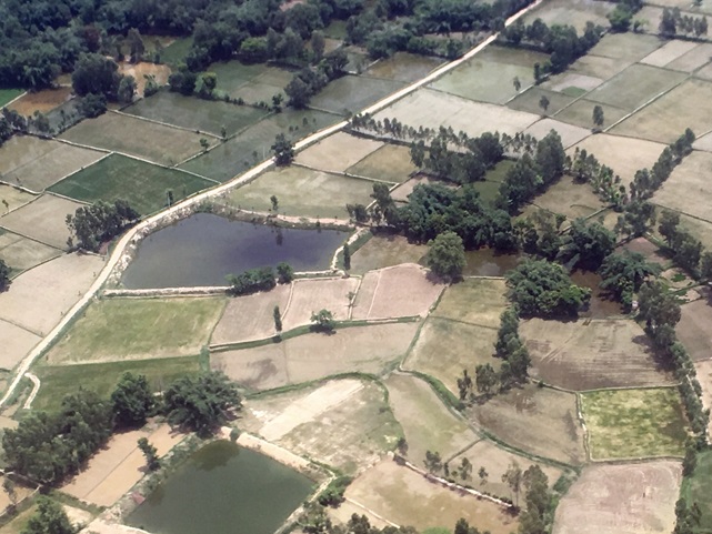 Aerial view of irrigated crops