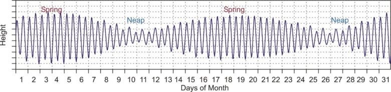 neap tide spring tide graph