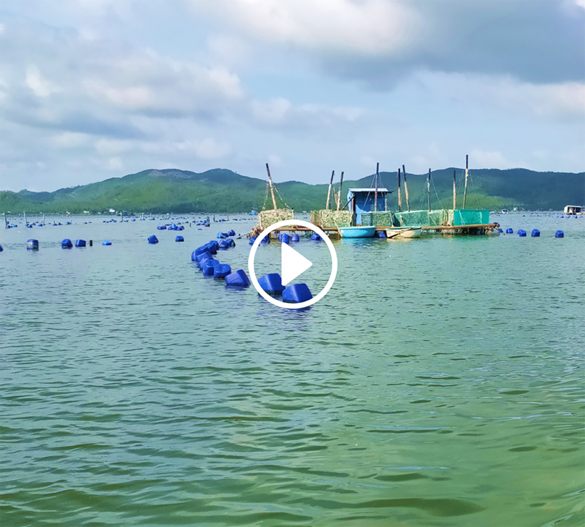 University of Technology Sydney (UTS) and Vietnamese National University of Engineering and Technology (VNU-UET) are addressing water quality challenges for lobster farmers in Phu Yen and removing arsenic from water supplies in the Red River Delta.