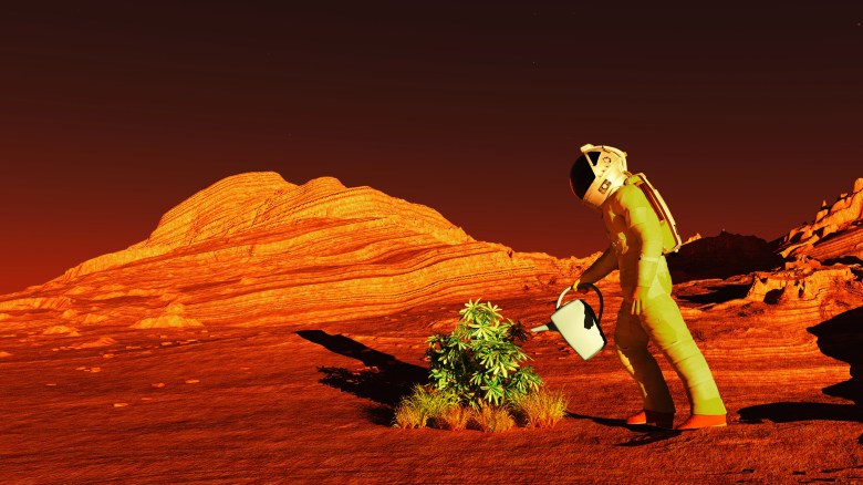 Astronaut figure in red landscape