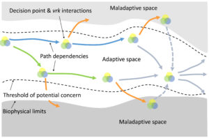Social-ecological systems and deliberative change - the adaptation pathways metaphor