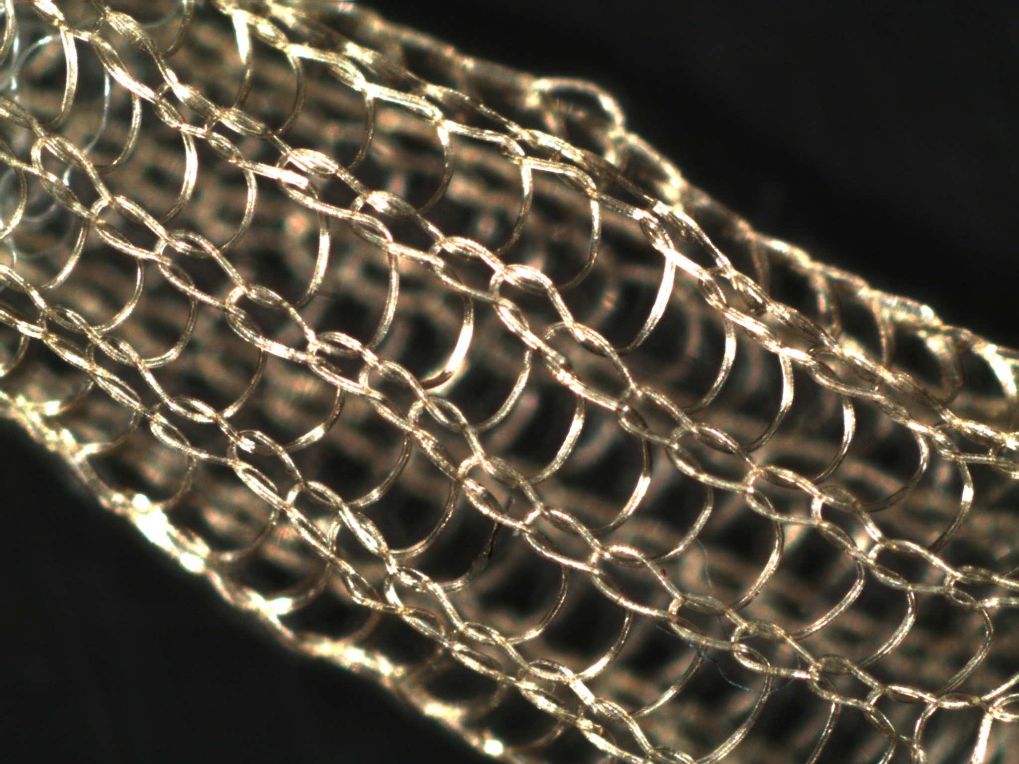 Biomimetic mesh