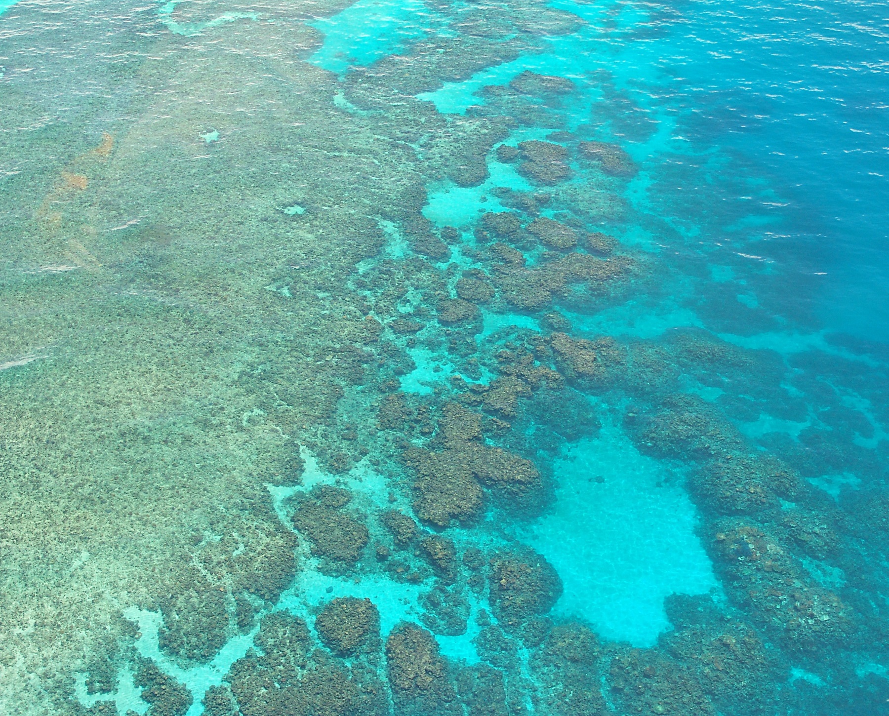 Looking down on a coral reef from the air