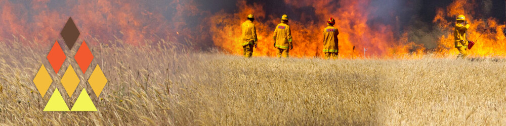 Three firefighters in front of a grassfire