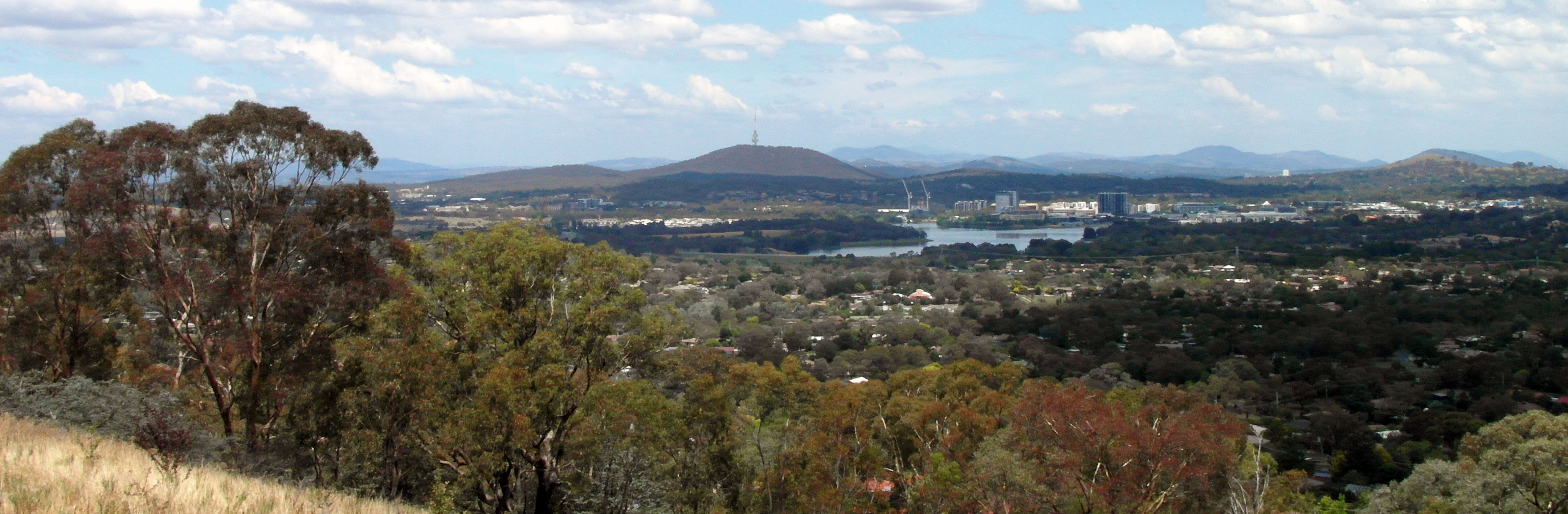 Looking towards Black Mountain in Canberra