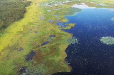 Kakadu wetland from the air