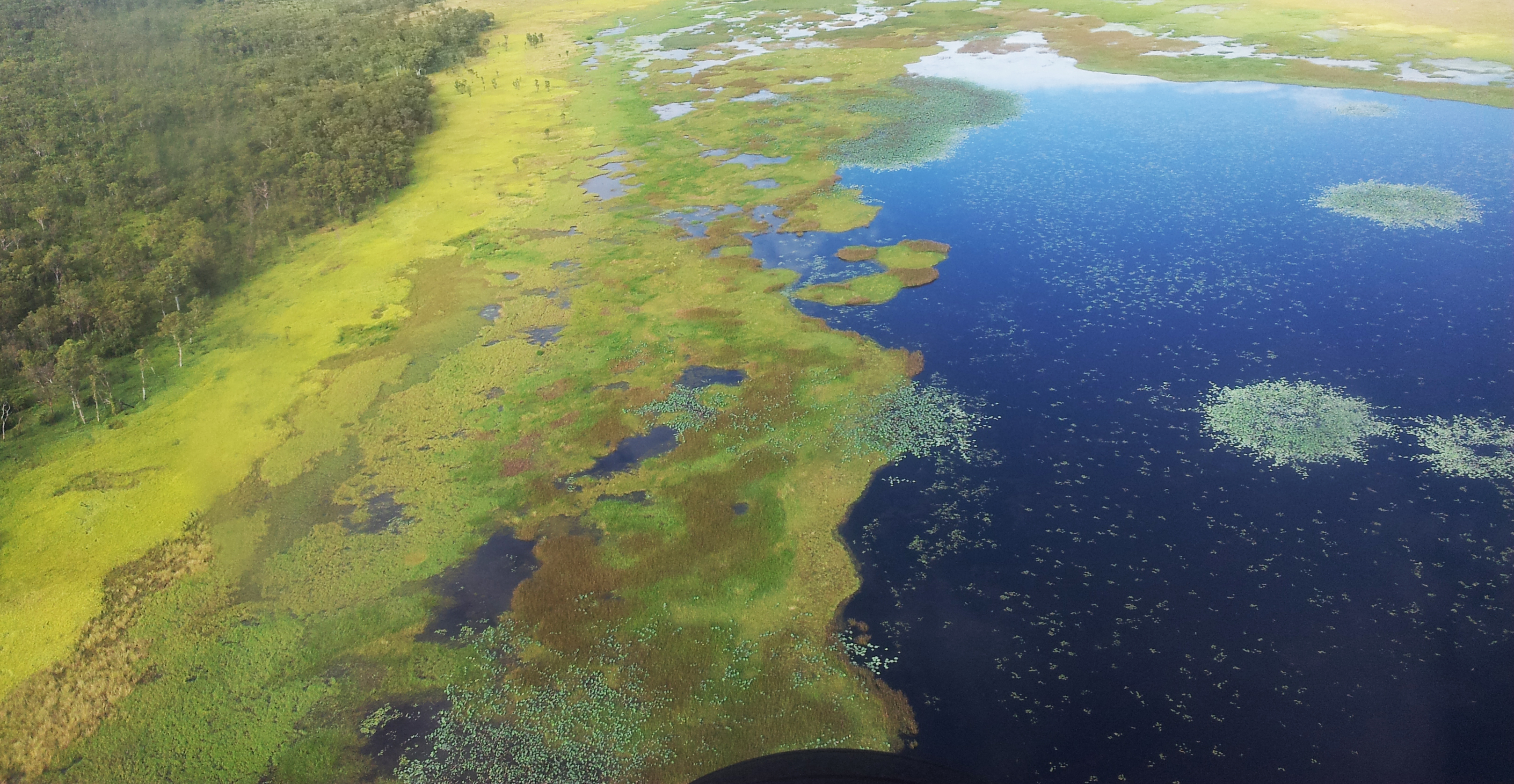 Kakadu wetland from the air