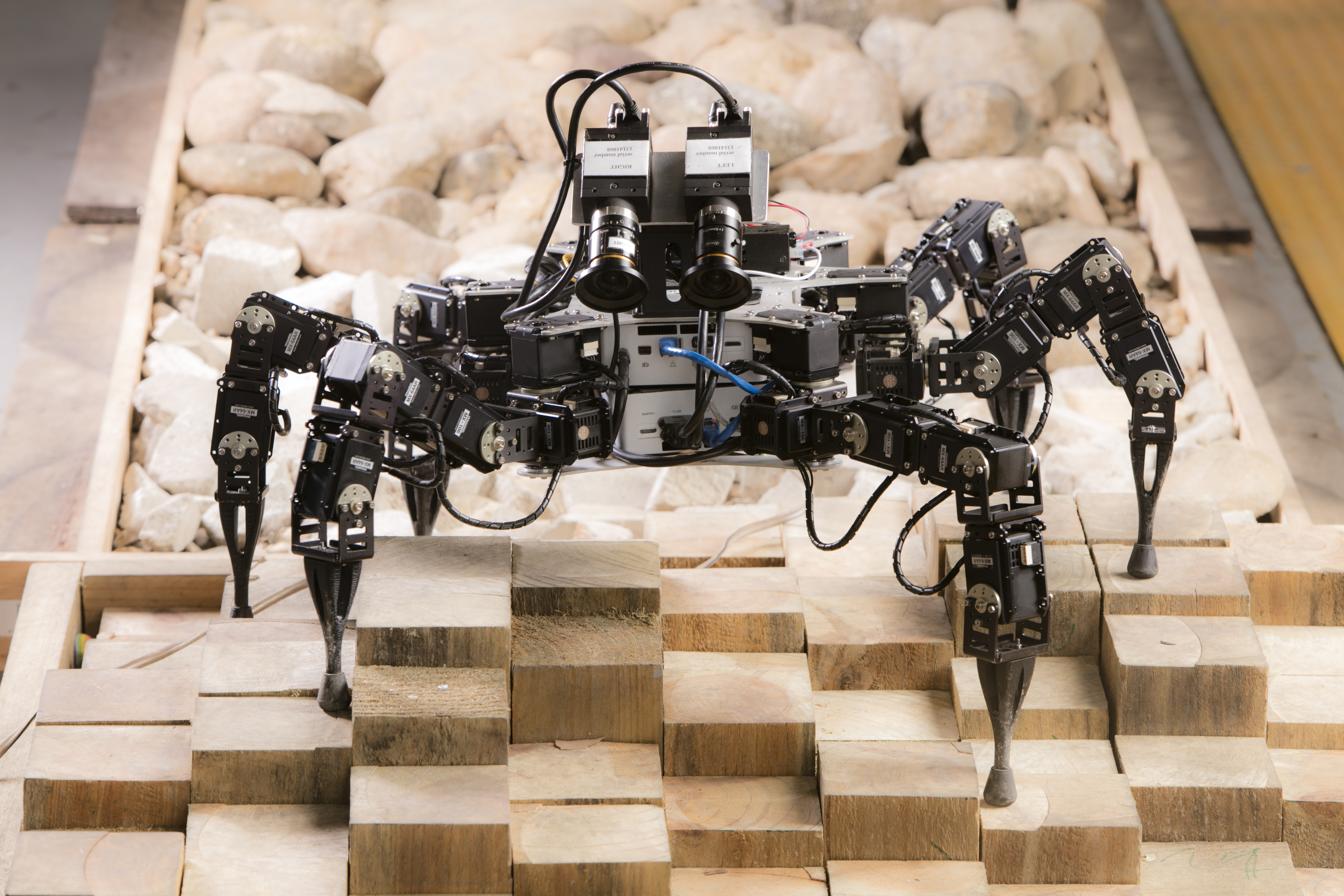 Six Legged Robot on uneven terrain