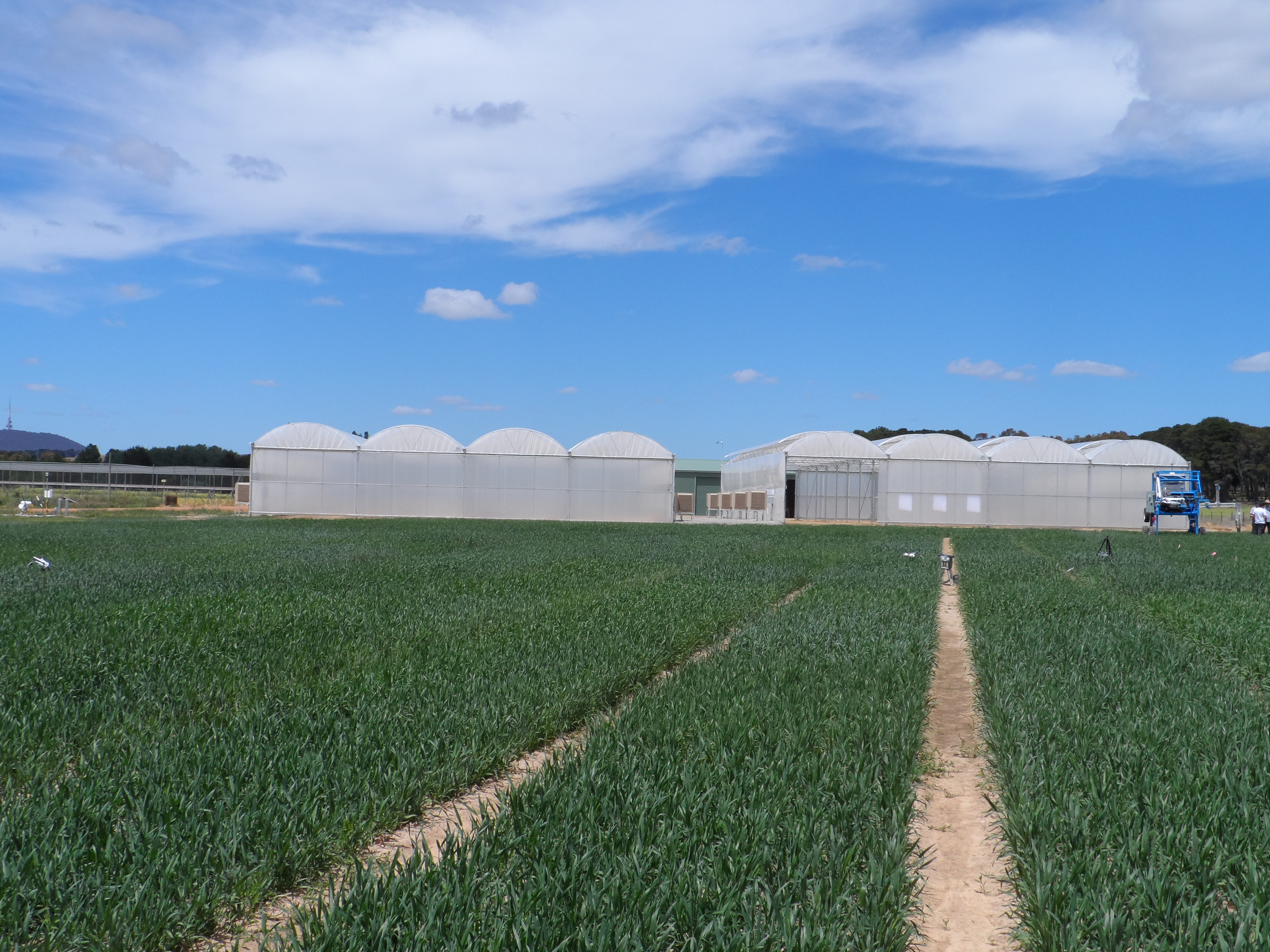 Greenhouses in a field of crops.