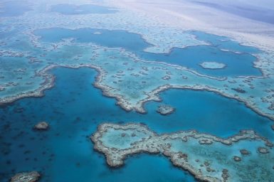 Coral reef viewed from the air