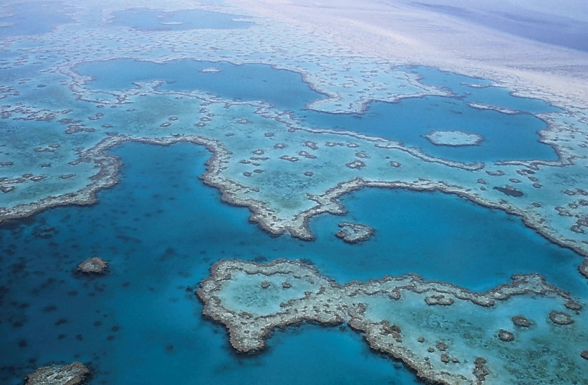 Coral reef viewed from the air