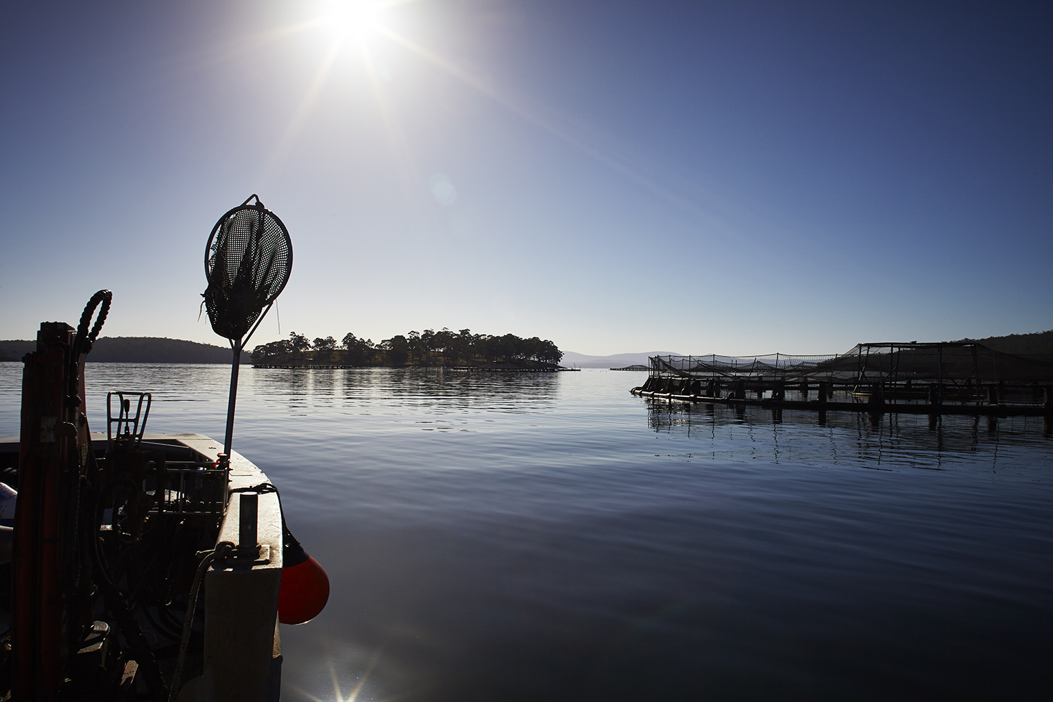 A boat with a new approaches a salmon farm enclosure