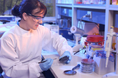 A research holding a petri dish