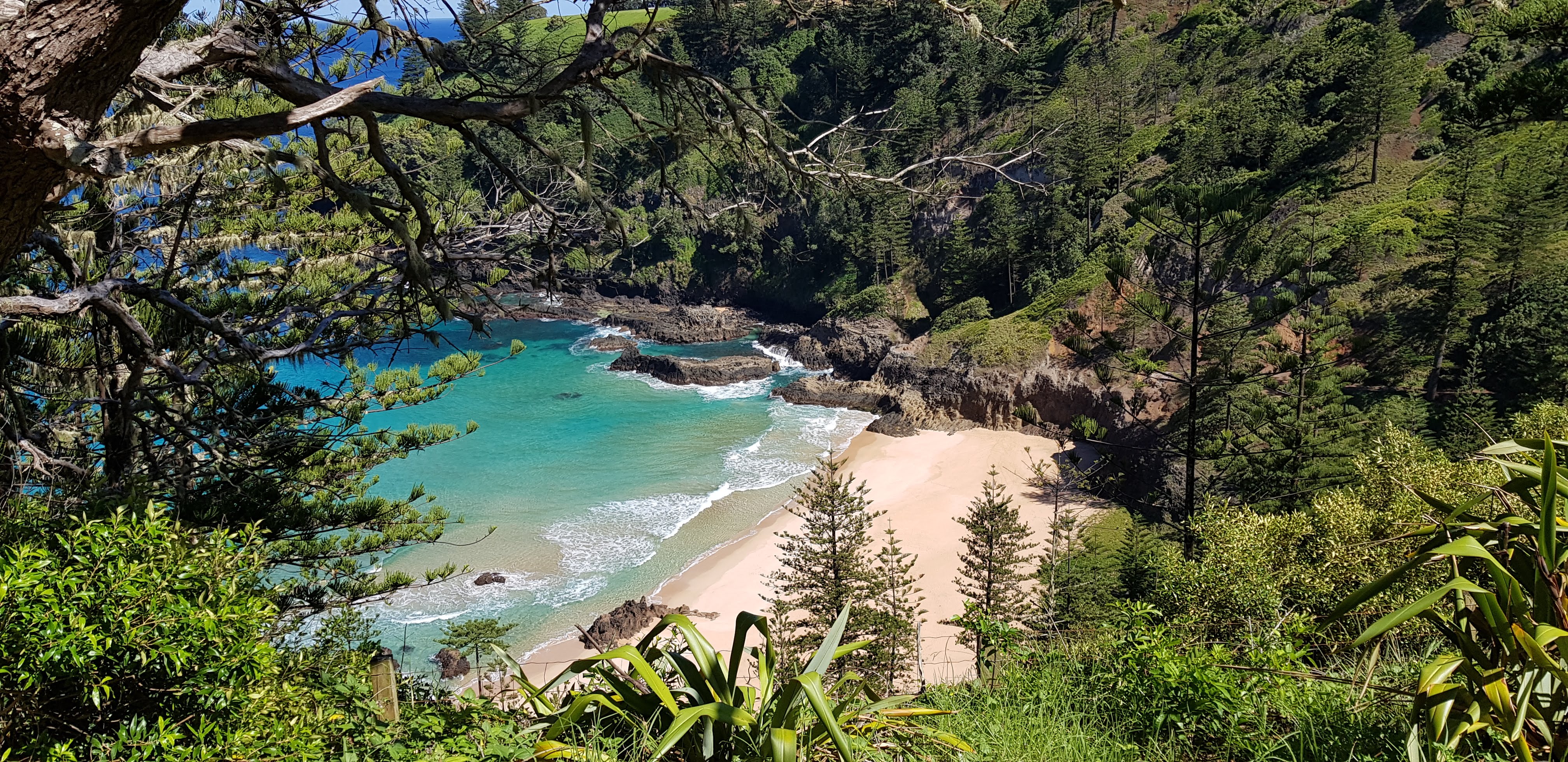 A beach and bay on Norfolk Island