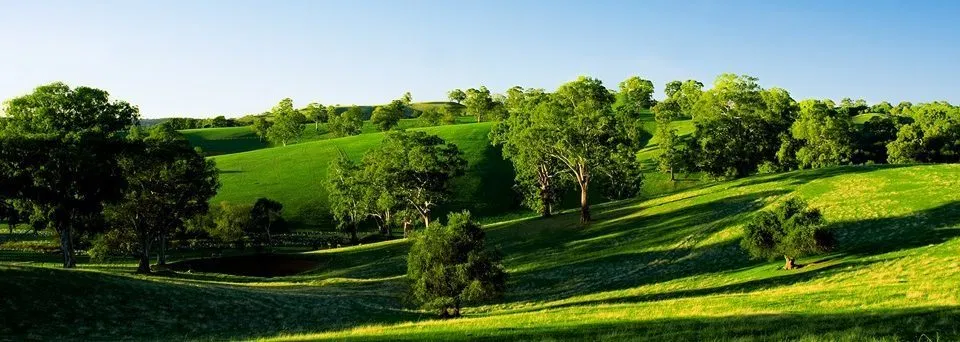 green landscpae