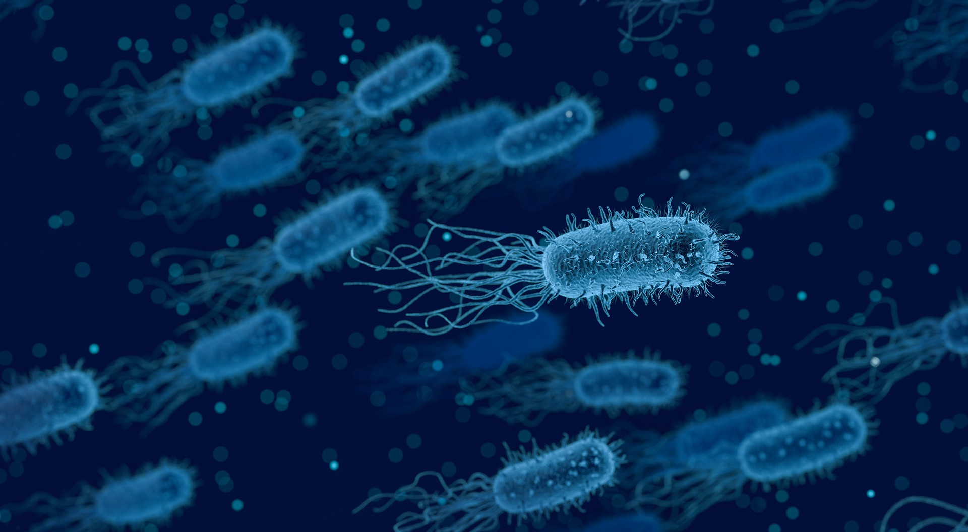 Bacteria swimming