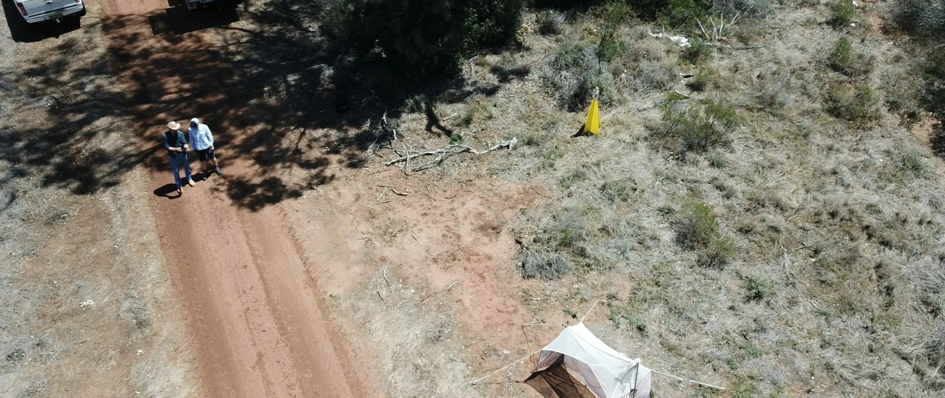 Two people walking along a dirt road in bushland