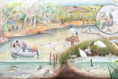 An illustration of a river with people fishing and on boat. An ibis stands on a signpost, a spoonbill feeds its chicks and other birds fly around.