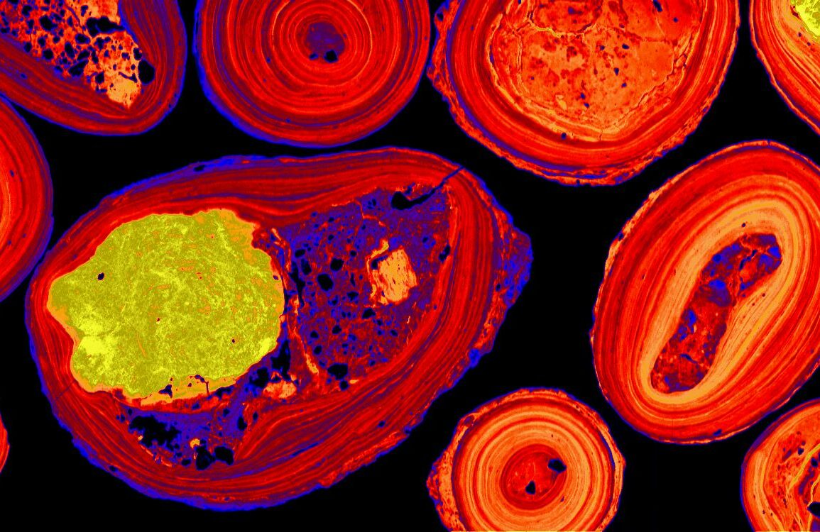 natural mineral iron-oxide nodules under a microscope.