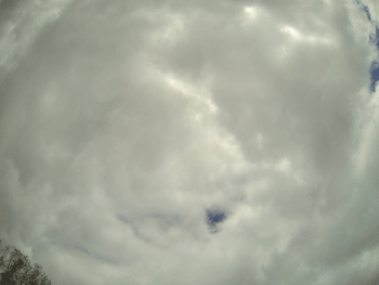 An example of Data61 Cloud imagery